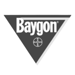 Baygon