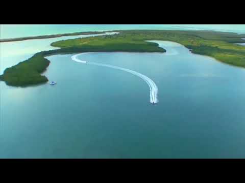 TV Travel News (SBT)
