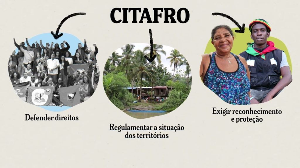 Reconhecimento é sobrevivência RenataCampos
